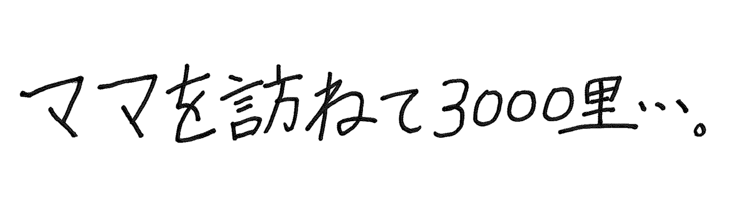 ママを訪ねて3000里...。